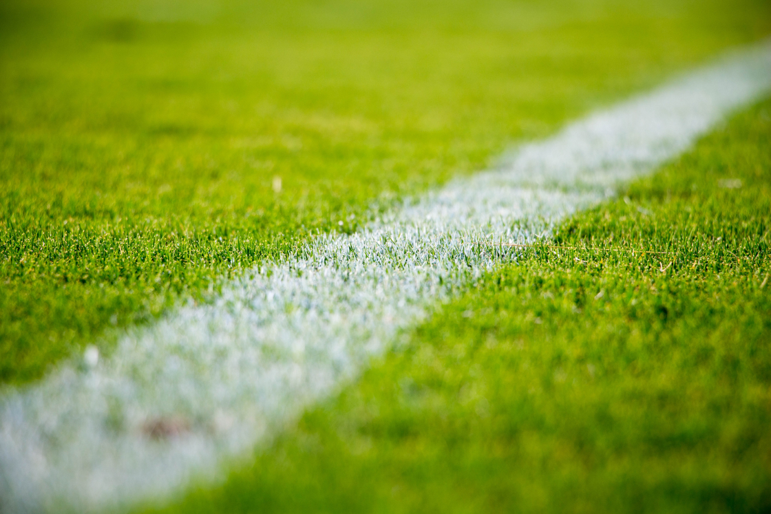 close up view of a touchline on a soccer field